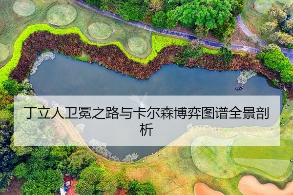 丁立人卫冕之路与卡尔森博弈图谱全景剖析